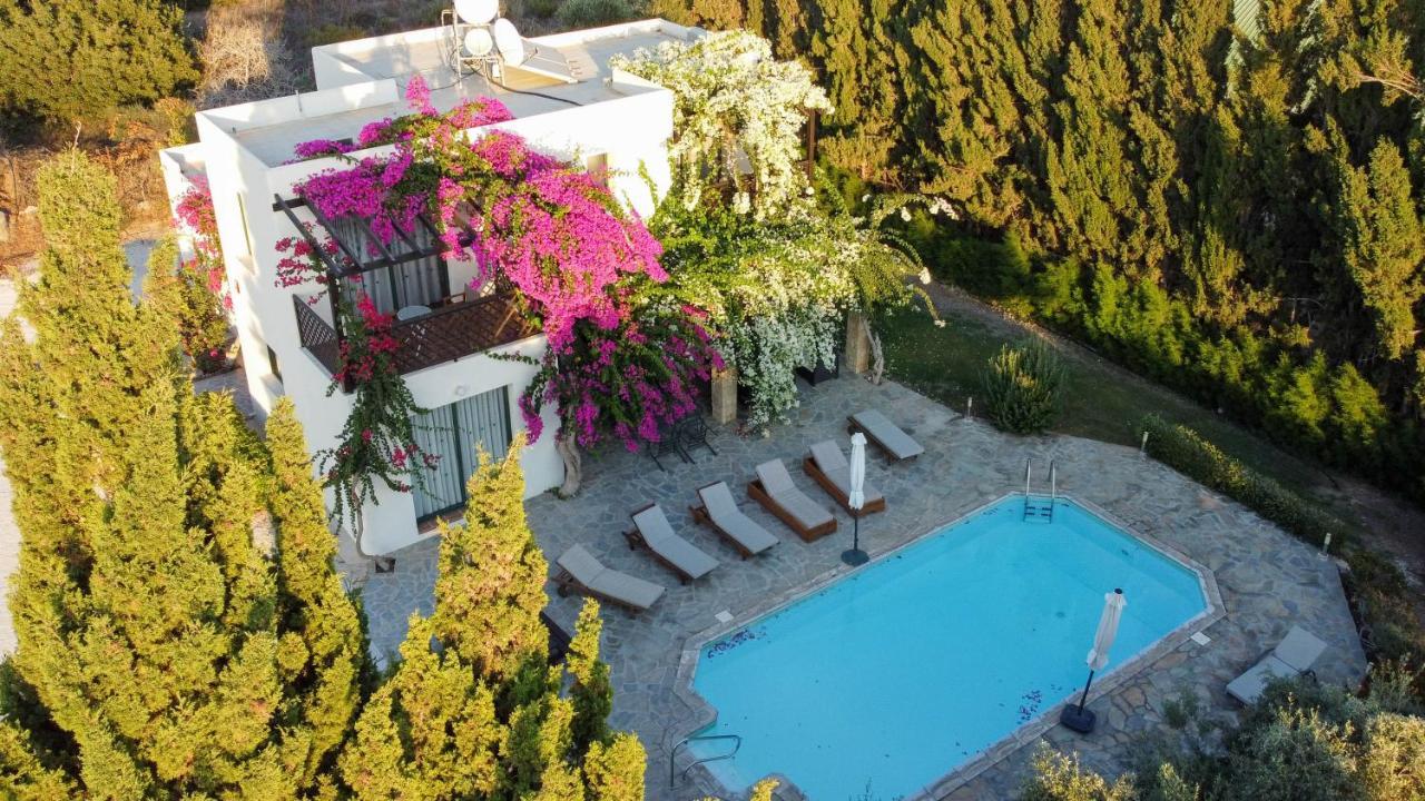 Banana Sunset Villas Pafos Dış mekan fotoğraf