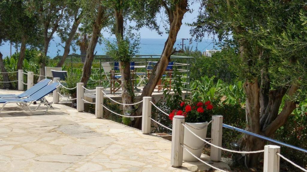 Banana Sunset Villas Pafos Dış mekan fotoğraf