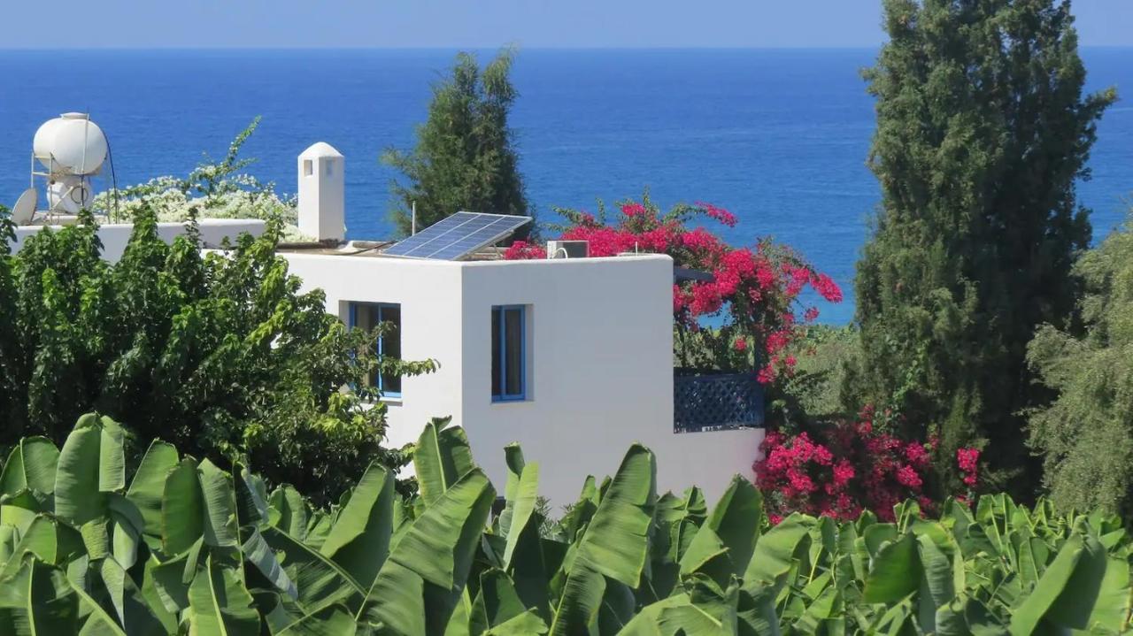 Banana Sunset Villas Pafos Dış mekan fotoğraf