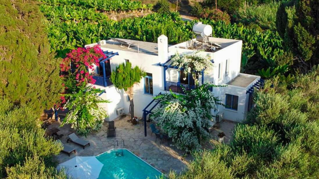 Banana Sunset Villas Pafos Dış mekan fotoğraf