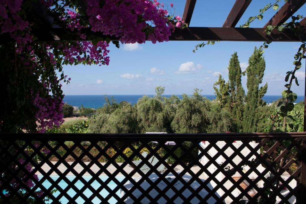 Banana Sunset Villas Pafos Dış mekan fotoğraf