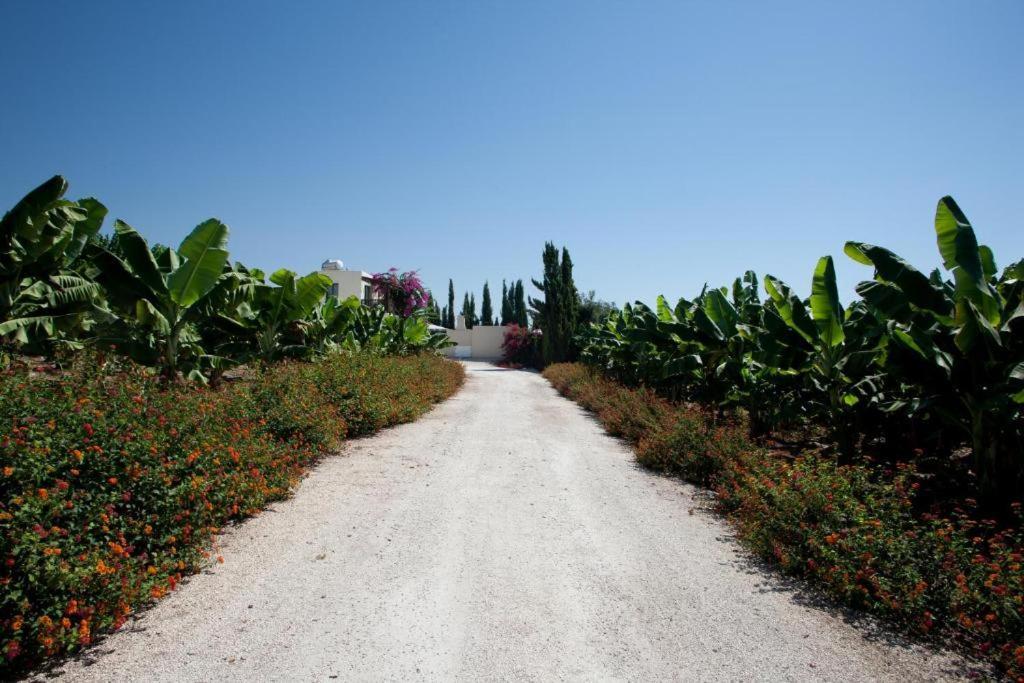 Banana Sunset Villas Pafos Dış mekan fotoğraf